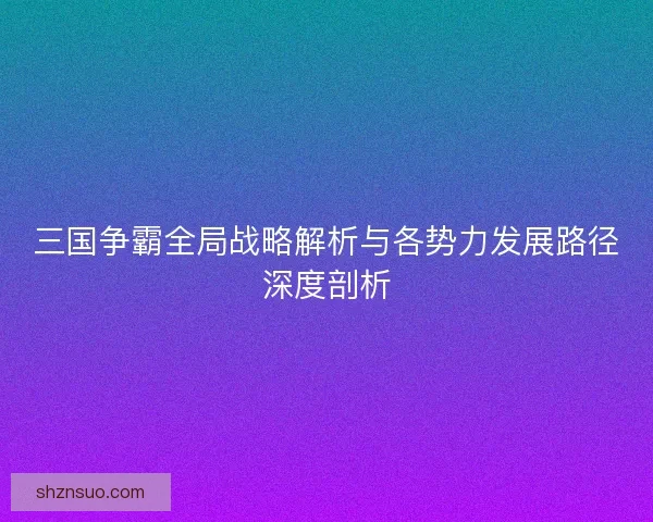 三国争霸全局战略解析与各势力发展路径深度剖析