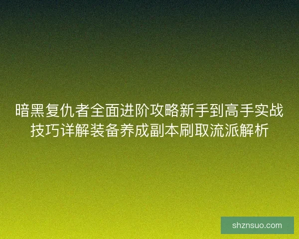 暗黑复仇者全面进阶攻略新手到高手实战技巧详解装备养成副本刷取流派解析